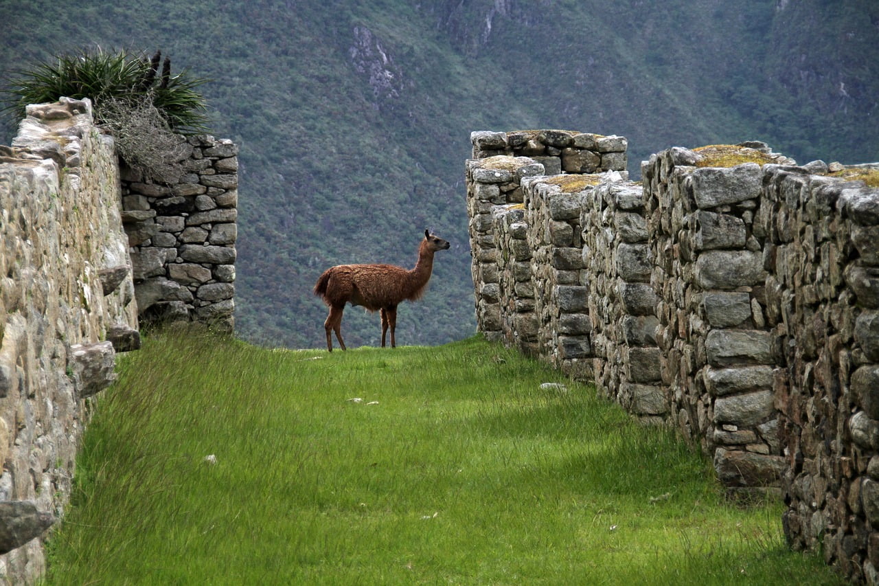 2. Machu Picchu, Peru
